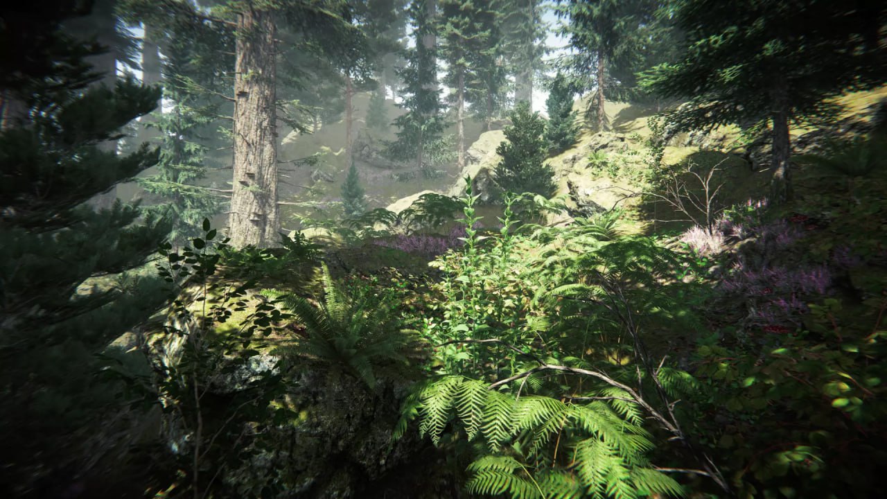 Coniferous Forest📱 - изображение 3